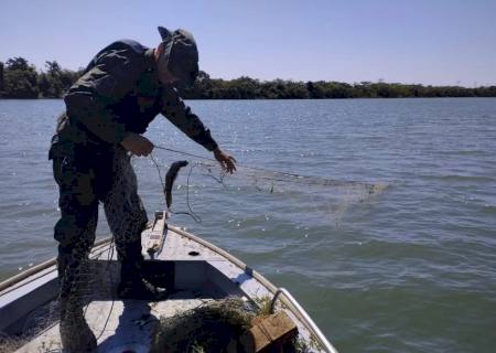 Fiscalização solta de volta no Rio Paraná 6 kg de peixes capturados por 300 metros de redes irregulares